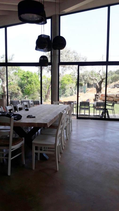 לינה וארוחת בוקר מונקאראפאצ'ו Casa Mama Mia מראה חיצוני תמונה